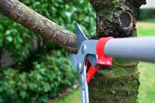 tree services Vicksburg